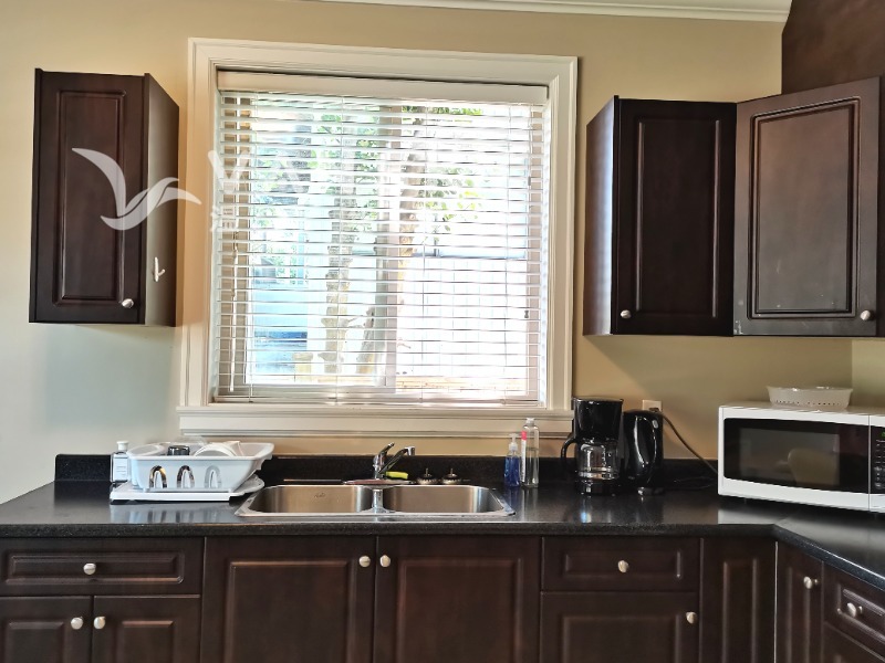 250225115109_Bright kitchen.jpg